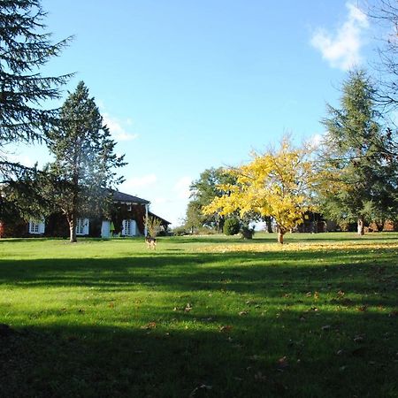 Le Chateau De Roquebere Condom Exterior foto